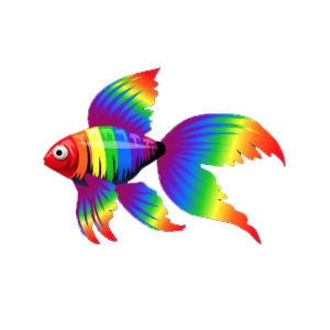 Rainbow Veiltail